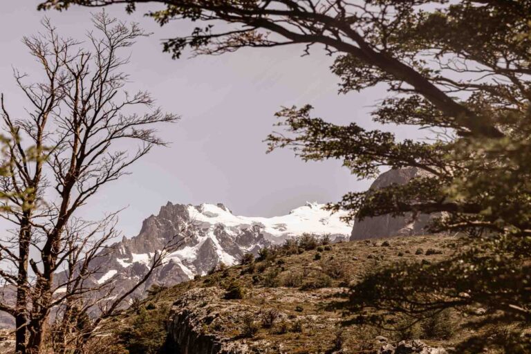 NP Torres del Paine - Patatgonië